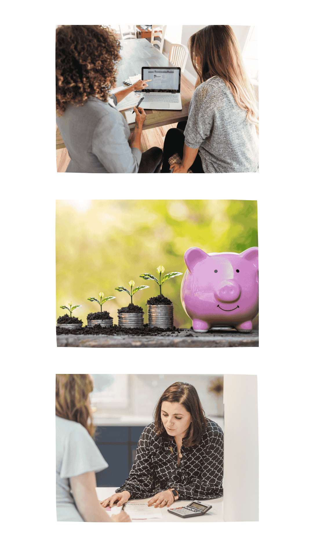 find financial calm at MSCU