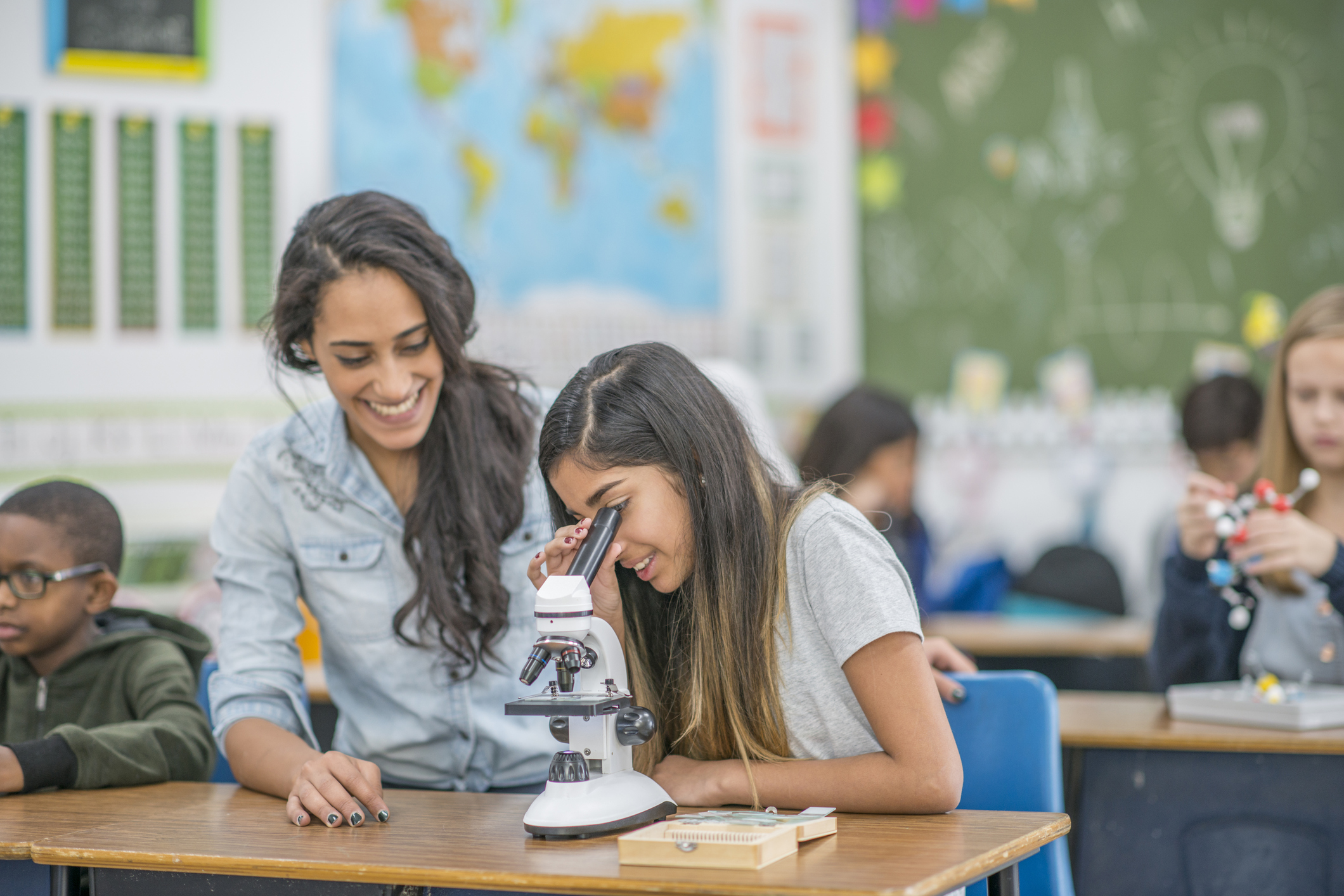Looking Into A Microscope School Expenses and Fees